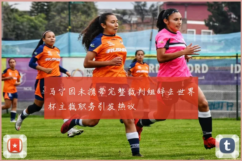 马宁因未携带完整裁判组辞去世界杯主裁职务引发热议